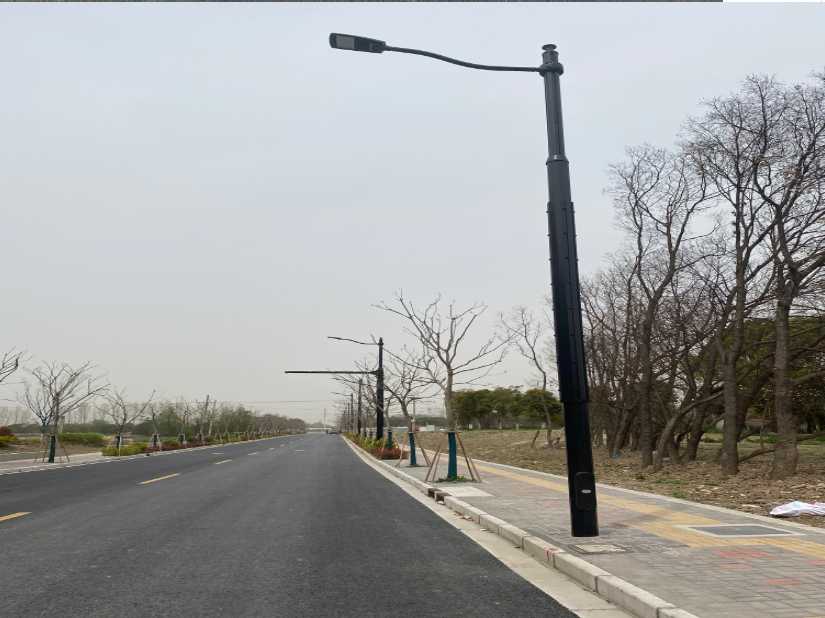 昌宁县上海综合杆 太阳能路灯工程